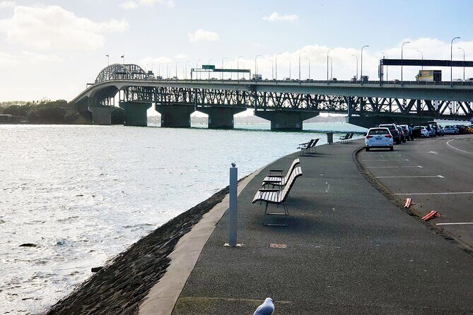 Auckland City Halfday Private Tour - The Experience of a Guide