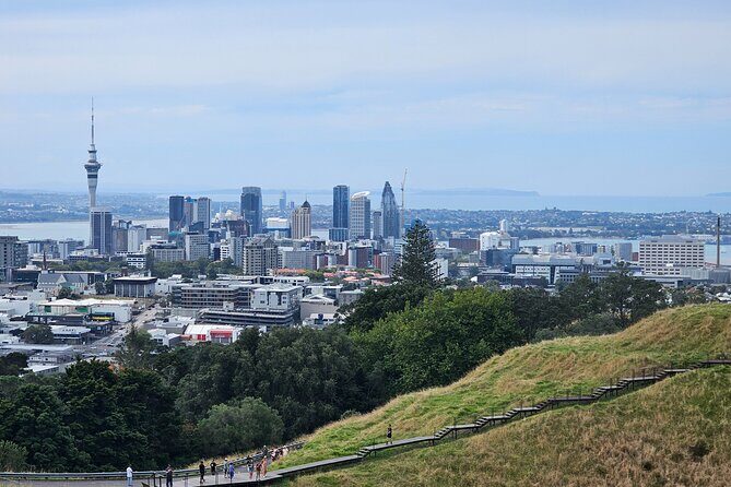 Auckland City Halfday Private Tour - Transportation and Comfort