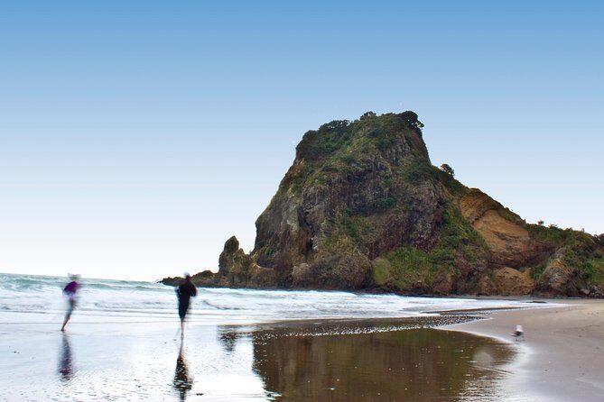 Auckland City Highlights, Afternoon Piha Beach & Rainforest Tour - An In-Depth Look at the Tour