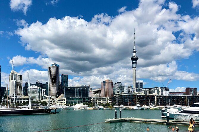 Auckland City Highlights and Hidden Gems Half Day Tour - An Overview of the Tour Experience