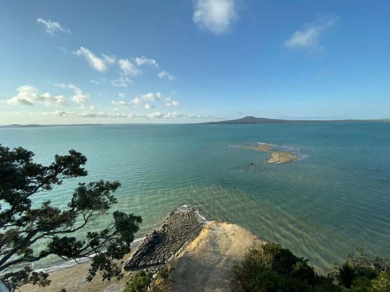 Auckland: City Highlights and Native Forest Experience - An Impressive Introduction to Auckland’s Sights and Surroundings