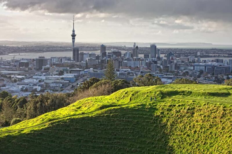 Auckland: City Highlights and Native Forest Experience - Cost and Value