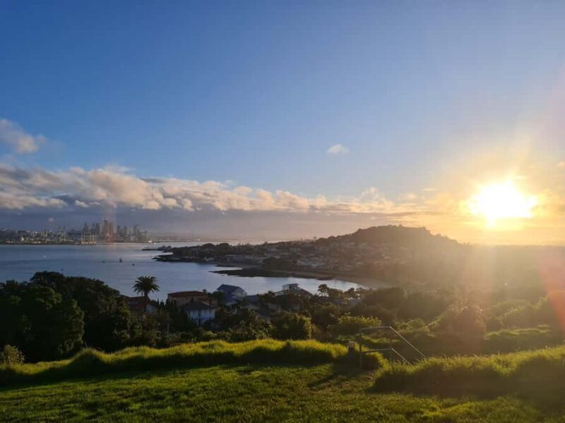 Auckland City Highlights Full Day Tour - An In-Depth Look at the Itinerary and Experience