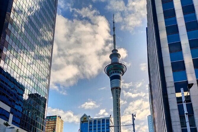 Auckland City Highlights Full Day Tour - What Makes This Tour Stand Out?