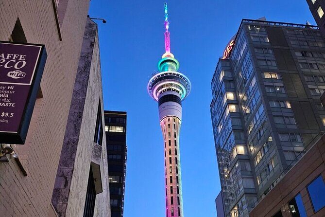 Auckland City Highlights Private Tour - Key Points