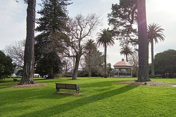 Auckland City Highlights Private Tour - A Deep Dive into the Auckland City Highlights Private Tour