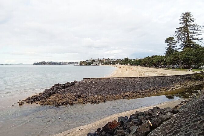 Auckland City Highlights Private Tour - Final Thoughts