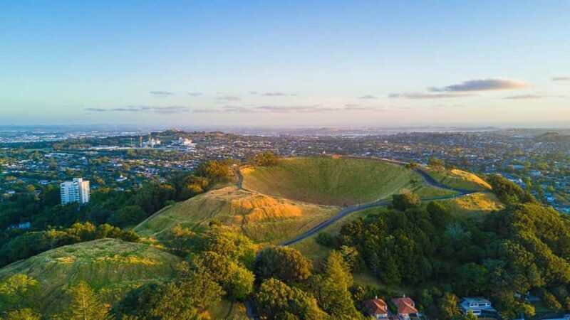 Auckland City Highlights Small-Group Tour (Half-Day) - Key Points