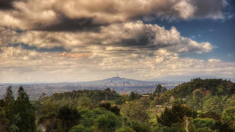 Auckland City Highlights Small-Group Tour (Half-Day) - An In-Depth Look at the Auckland Highlights Tour