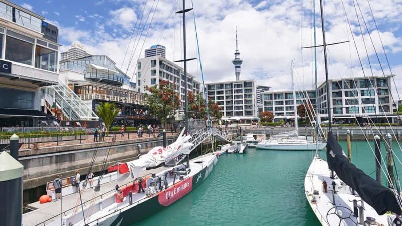 Auckland City Highlights Small-Group Tour (Half-Day) - Summary: Why Choose This Tour?