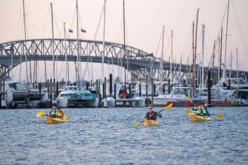 Auckland: City Lights Night Kayak Tour - How the Tour Feels and Who It Suits