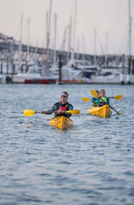 Auckland: City Lights Night Kayak Tour - Practical Details and Value