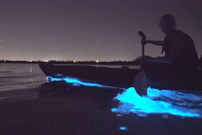 Auckland City Lights Night Kayaking Tour - Who Will Love This Tour?