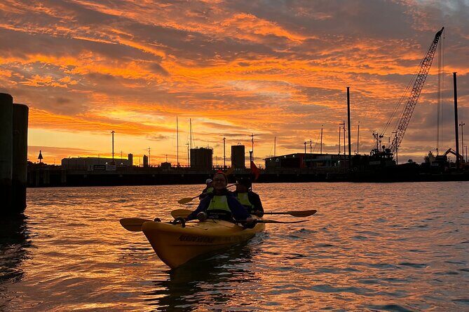 Auckland City Lights Night Kayaking Tour - The Sum Up