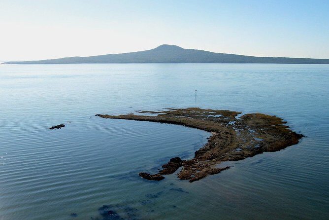 Auckland City & Native Forest Experience - Fully Guided Day Tour - An In-Depth Look at the Tour Itinerary