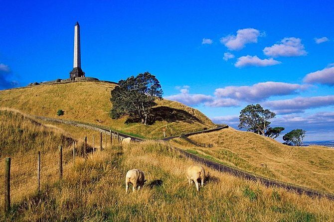 Auckland City Private Tour for Couples. Be chauffeur driven with added extras. - A Smooth Introduction to Auckland’s Top Sights