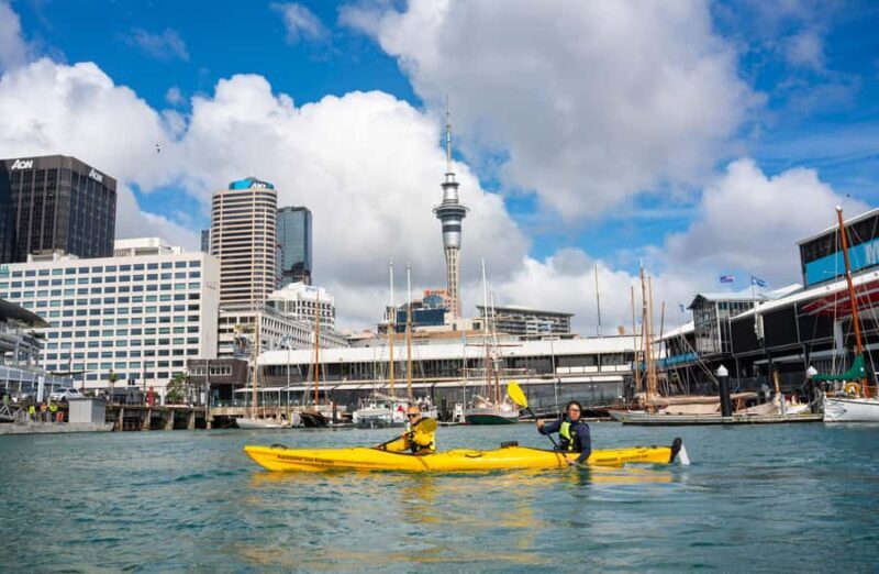 Auckland: City Scenes Kayak Tour - A Close Look at the Auckland City Scenes Kayak Tour