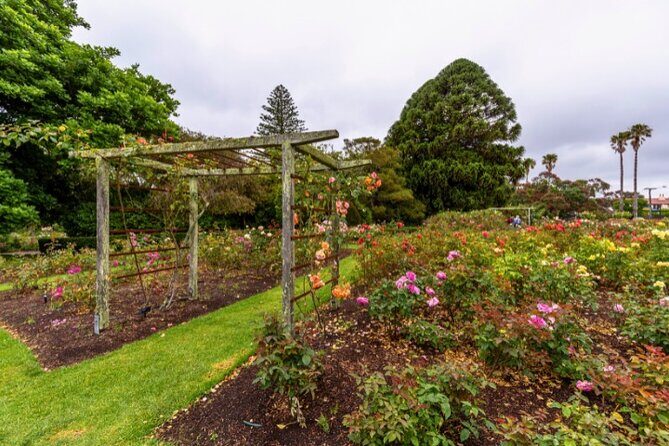 Auckland City Self Guided Walking Tour with an APP - FAQ