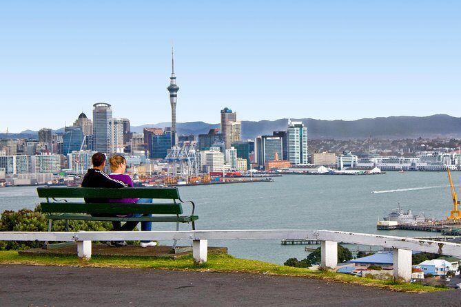 Auckland City Small-Group Morning Discovery Tour - An In-Depth Look: What to Expect from the Tour