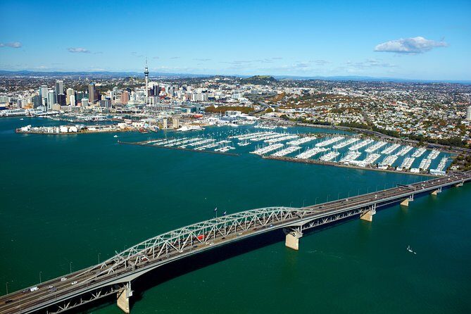 Auckland City Small-Group Morning Discovery Tour - The Sum Up