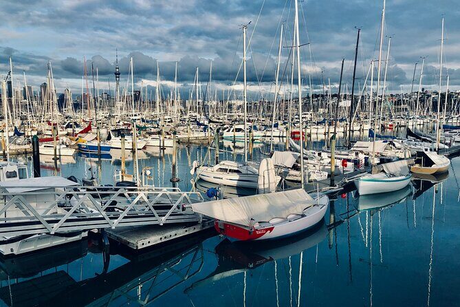 Auckland City Top Sights Half Day Tour - Small Group - A Closer Look at the Itinerary: What to Expect