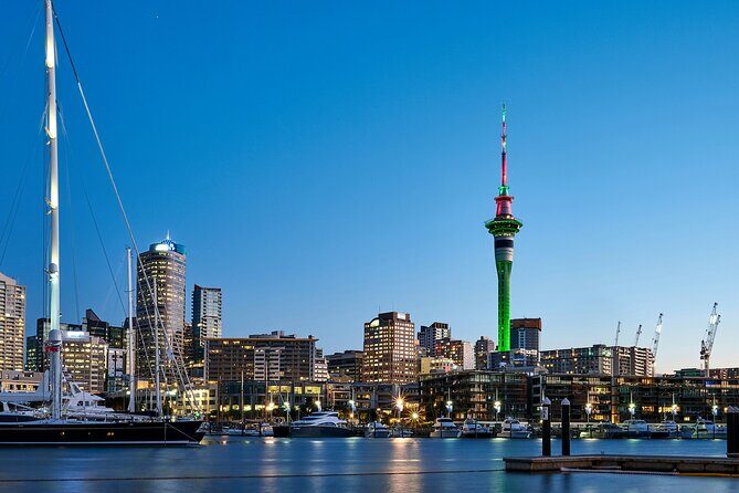 Auckland City Top Sights Half Day Tour - Small Group - Making the Most of Your Experience