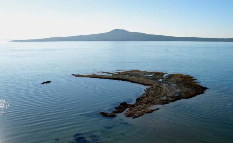 Auckland: City Tour with Wine Tasting and Black Sand Beach - Who Will Love This Tour?