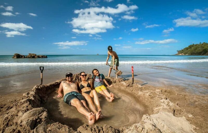 Auckland: Coromandel Beach, Caves & Forest Private Tour - Key Points