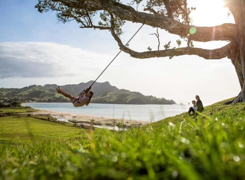 Auckland: Coromandel Beach, Caves & Forest Private Tour - Final Thoughts
