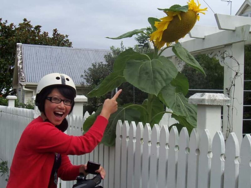Auckland: Devonport Village Segway Tour - Final Thoughts: Is It Worth It?