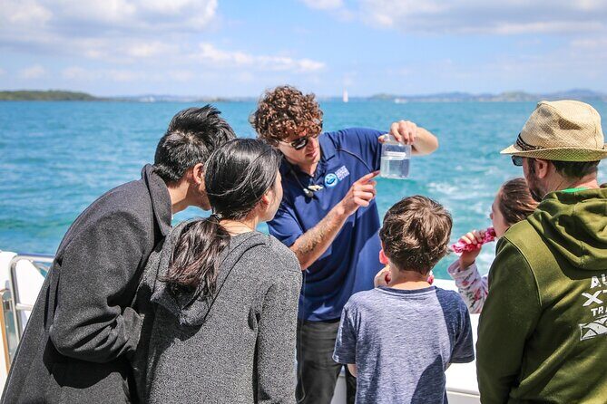 Auckland Dolphin and Whale Watching Eco-Safari Cruise - The Reviews: Real Voices from Travelers