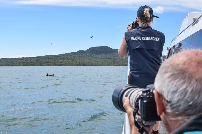 Auckland Dolphin and Whale Watching Eco-Safari Cruise - FAQ