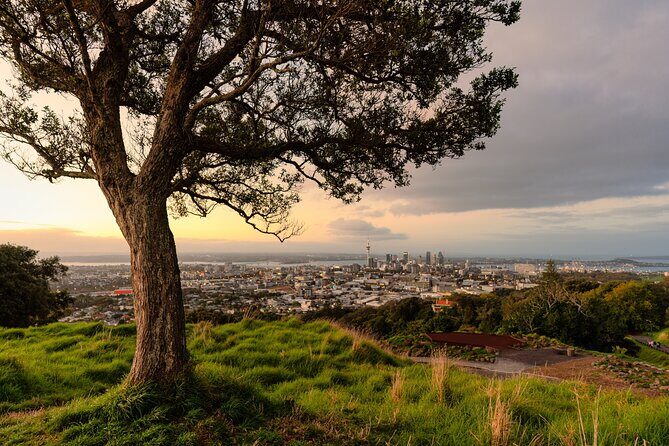 Auckland Essentials: City Views, Volcanoes & Waterfront Charm - Authentic Traveler Insights