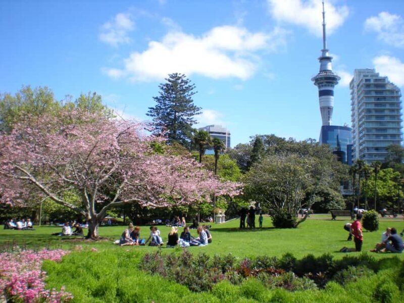 Auckland Family Tales: Private Stroll in the City of Sails - Waterfront Delights at Viaduct Basin