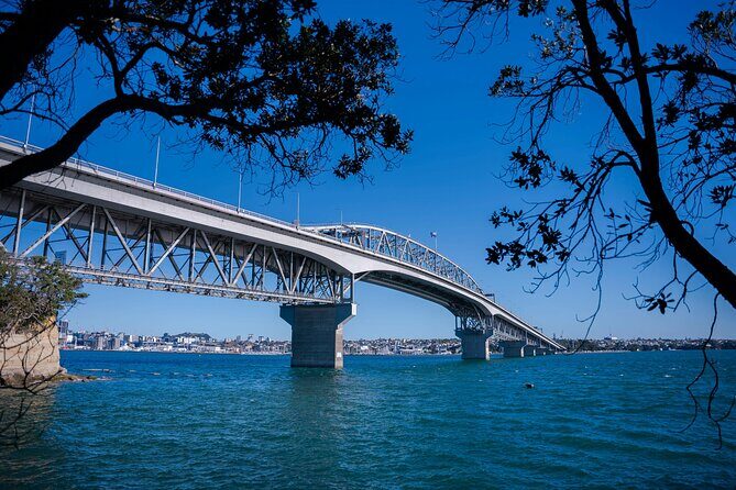 Auckland Full Day Attractions & Museums Tour - Who Should Consider This Tour?