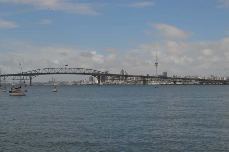 Auckland: Full-Day City Highlights Tour - What the Reviews Say