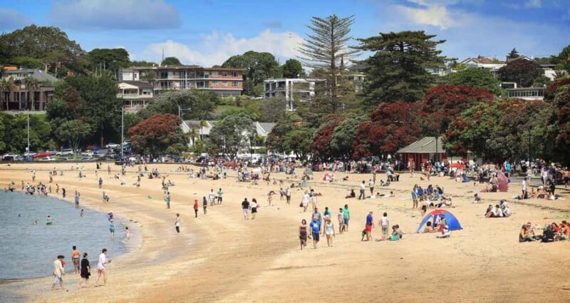 Auckland: Full-Day City Tour - Key Points