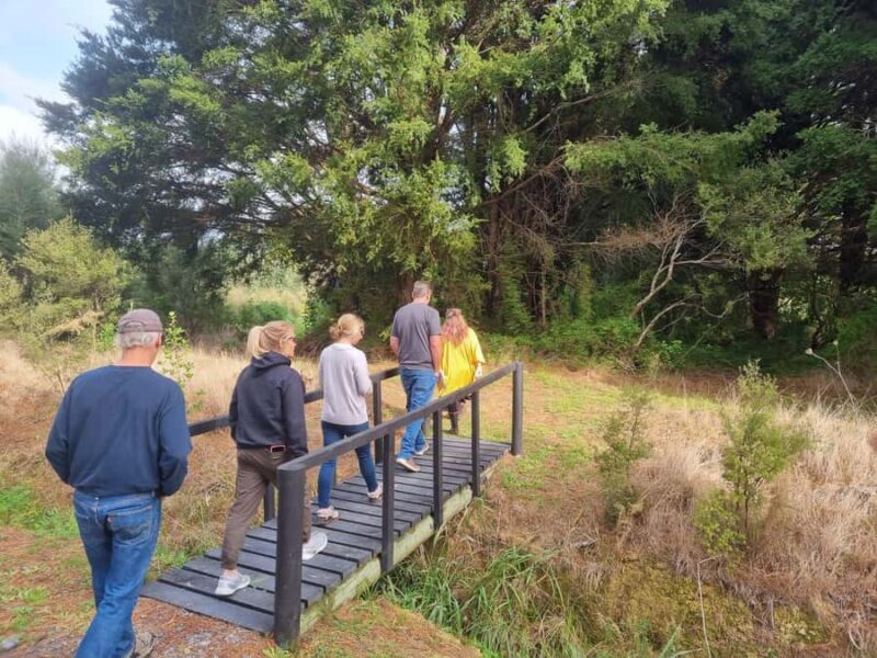 Auckland: Full-Day Jade Carving, Honey Tasting & Wine Tour - A Closer Look at the Full-Day Tour Experience