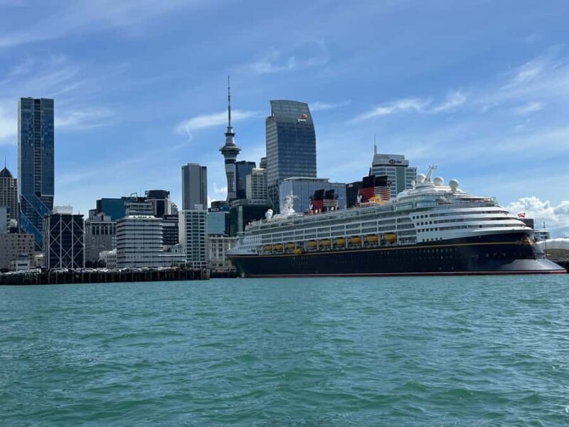 Auckland: GoGuided Auckland City Tour - The Experience: What You Can Expect