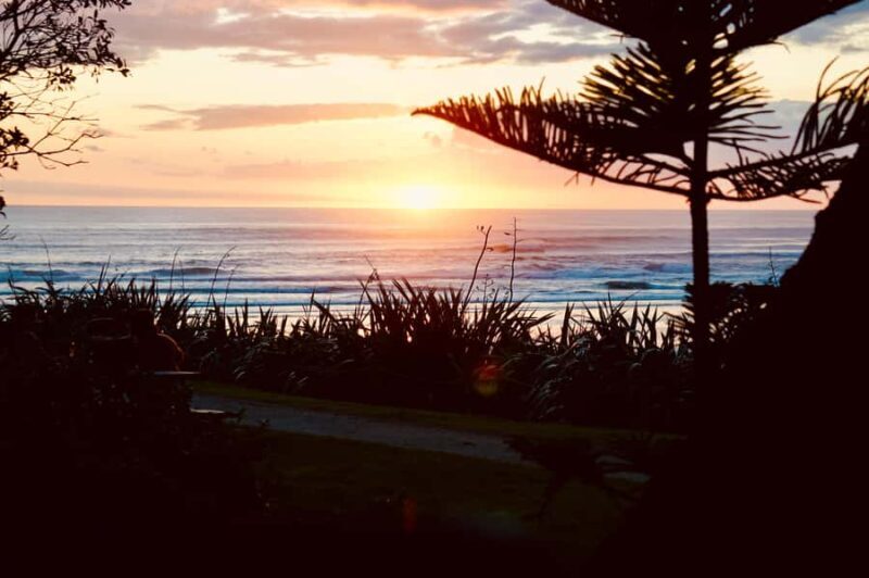 Auckland: Group Surfing Lesson with Muriwai Surf School - Who Will Love This Tour?