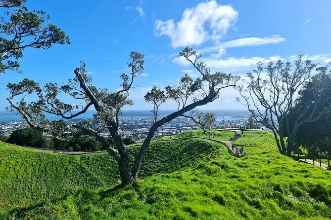 Auckland Half Day City Tour - Heart of Auckland - The Sum Up: Is This Tour Right for You?