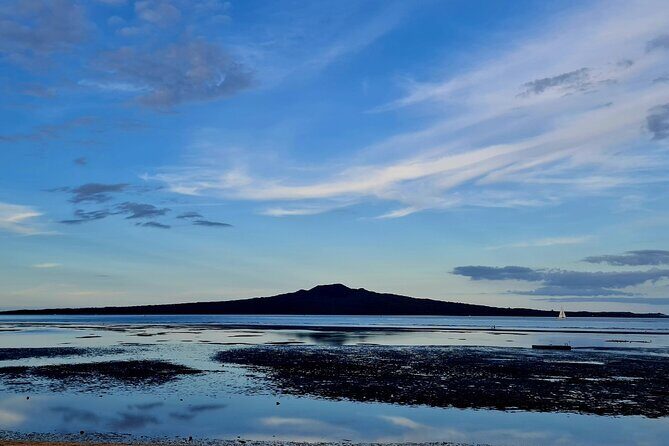 Auckland Half Day City Tour - Heart of Auckland - Frequently Asked Questions