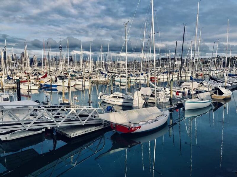 Auckland Half Day City Tour - Heart of Auckland - Introduction to the Tour Experience