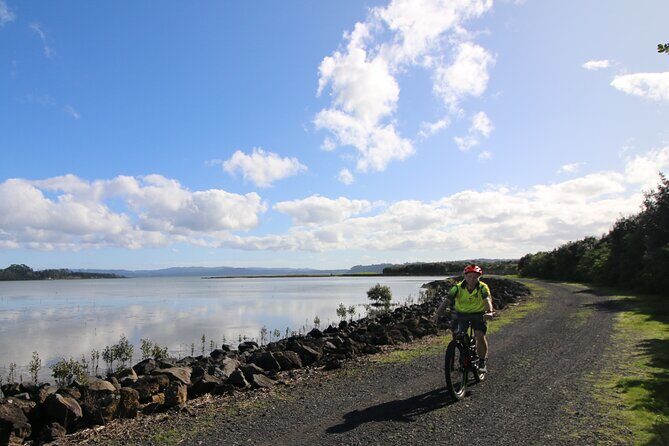 Auckland Half Day E-Bike Excursion - Key Points