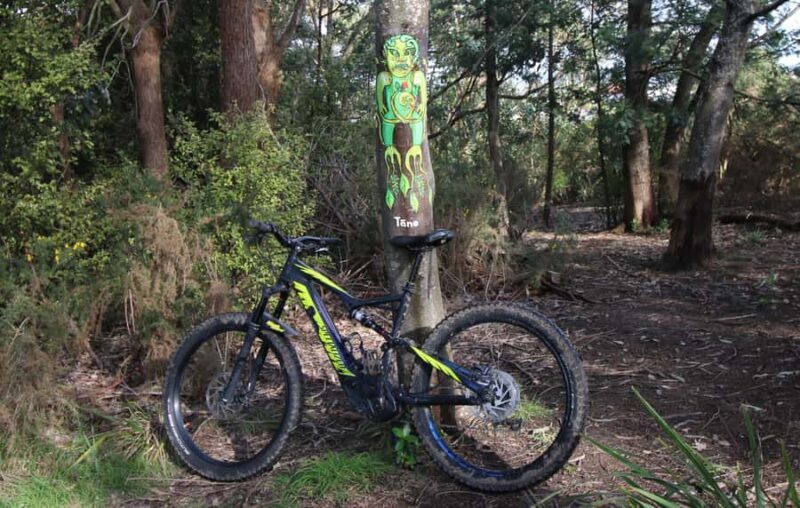 Auckland Half-Day Ebike Tour Excursion - Key Points