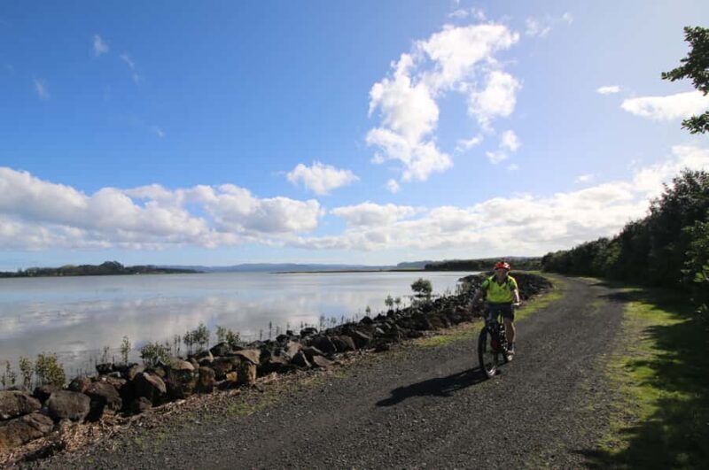 Auckland Half-Day Ebike Tour Excursion - An Overview of the Auckland Half-Day Ebike Tour