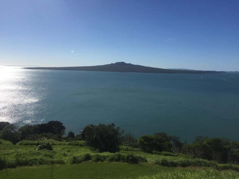 Auckland: Half-Day Private City Highlights Tour - Key Points