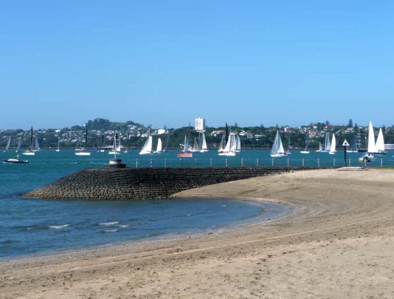 Auckland: Half-Day Private City Highlights Tour - An In-Depth Look at the Tour Experience