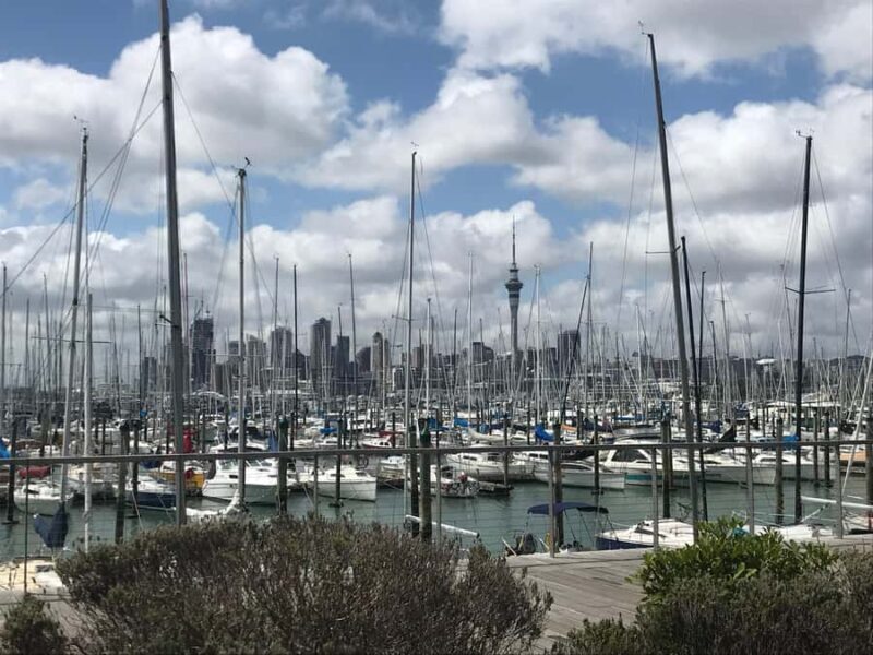 Auckland: Half-Day Private City Highlights Tour - Who Would Love This Tour?