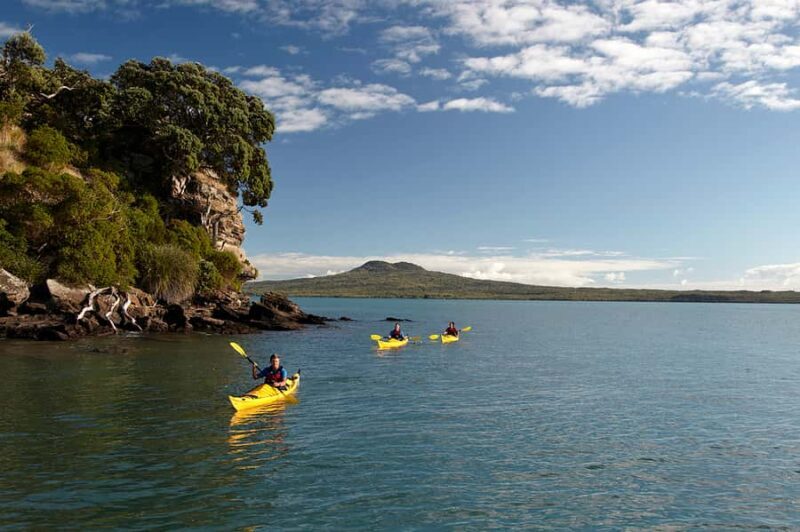 Auckland: Half-Day Sea Kayak Tour to Motukorea Island - What’s Included and What to Expect